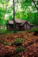 Cabin_watoga-sjs-02_up_medium