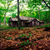 Cabin_watoga-sjs-02_up_sq