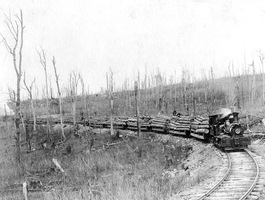 Deforestation-log_train_near_dobbin_ca1910_up_medium