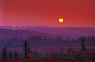 Dolly_sods_sjs_up_medium