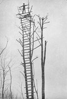 Fire-tree_tower_turkey_mtn_up_medium