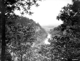 Forest-monongahela_nat_forest_upper_up_medium