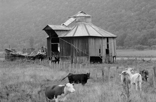 Kuykendall_barn_up_medium