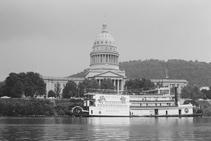 Showboat_rhododendron_up_medium