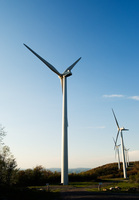 Windfarm0094_medium