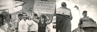 Protest_montage_medium