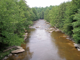 Blackwater_river_blackwater_falls_state_park_west_virginiap_medium