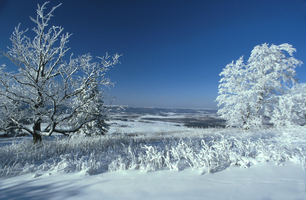 Bald_knob_winter_sjs_medium