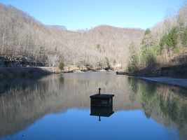 Laurel_lake_wma_-_laurel_lakep_medium