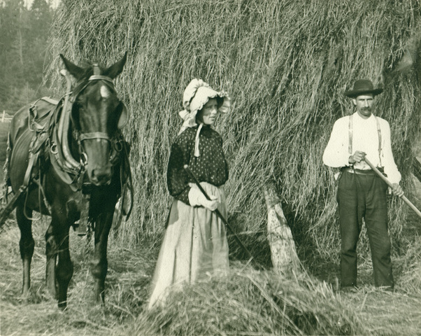 Henrietta_and_ernest_hofer_haying_standard