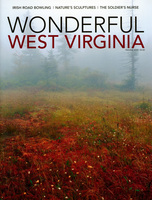 Wonderfulwv001p_medium