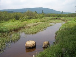 Blackwater_river_canaan_valley_resort_state_park_medium