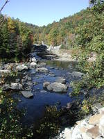 Buckhannonrivermouth_medium