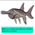 Paddlefish_large_sq