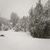 20121030snow1930p_sq