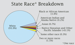 2010census_racechart_medium