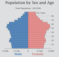 2010census_sex_age_medium