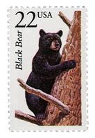 Ripper_blackbearstamp_medium