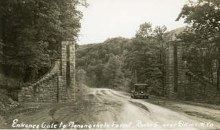 Monongahela_forest_gate_medium