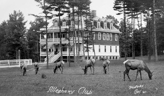 Allegheny_lodge_medium